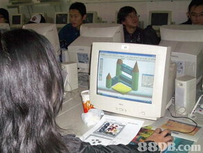 數字時代的教育創(chuàng)新 探索移動計算機互聯(lián)網與計算機系統(tǒng)服務在學校建設中的應用